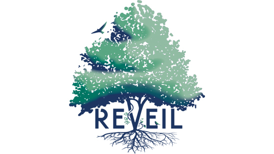 Reveil Menen